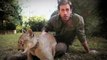Wild Animal Encounters - Ben Britton - Puma