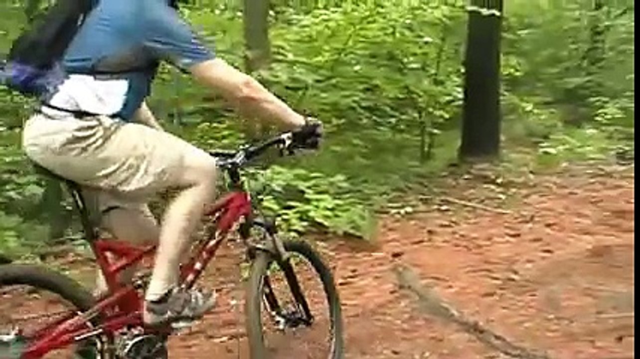 Nepaug State Forest, CT: 6.15.08