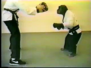 Funny Karate Chimp