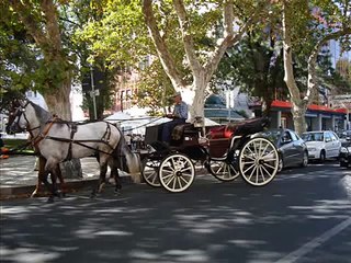 Um país chamado Portugal Parte I