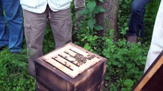 ŠPV Vilémov 2014 člověk plný rojů - japonský úl - japanese beehive # 2