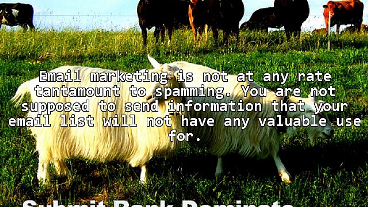 Email Marketing: Affordable Internet Marketing Technique