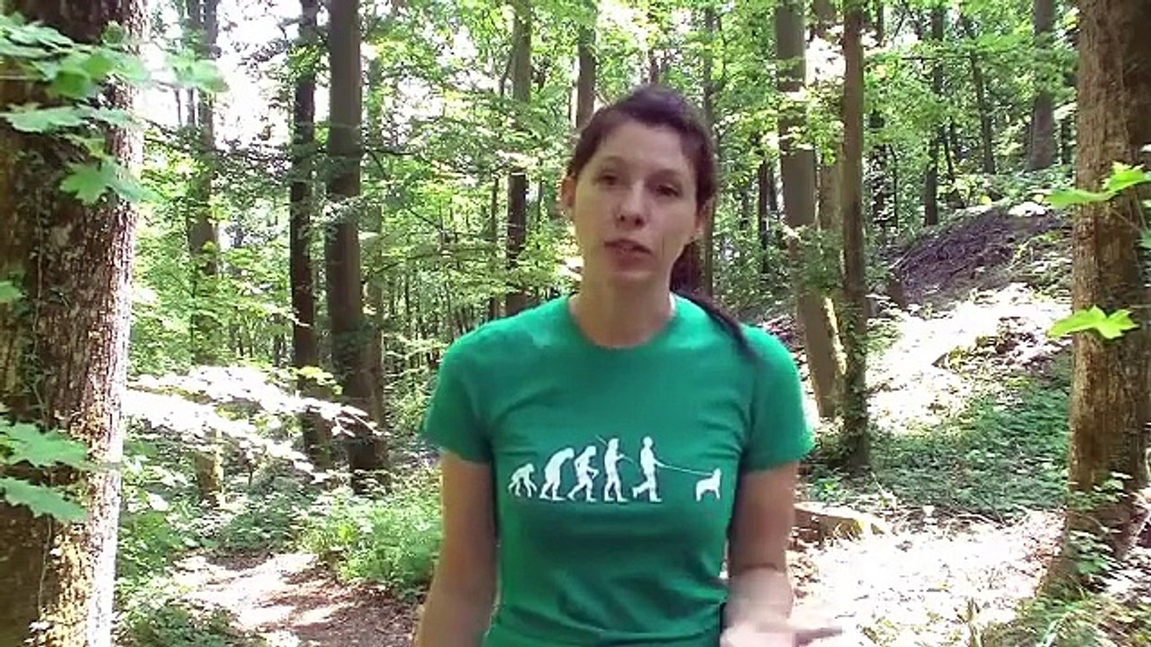 Comportementaliste canin Suisse: Renforcer VS punir.m4v