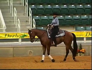 ChicMeOut Carolina Classic Reining Derby