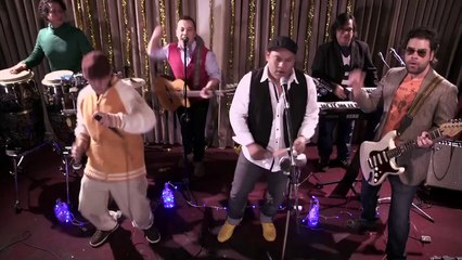 Los Miseria Cumbia Band - La Cumbia del Suricato