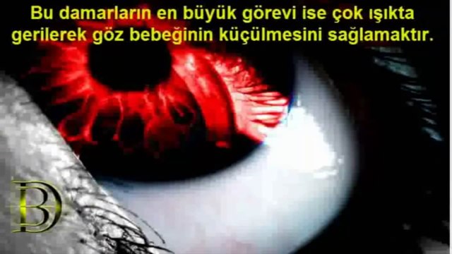 Gözler Neden Fotoğraflarda Kırmızı Çıkar