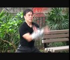 Chau Wing Tak Hung Gar-Gung Ji Fuk Fu Kuen