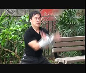 Chau Wing Tak Hung Gar-Gung Ji Fuk Fu Kuen
