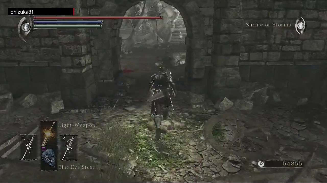 Demon's Souls Parry :D