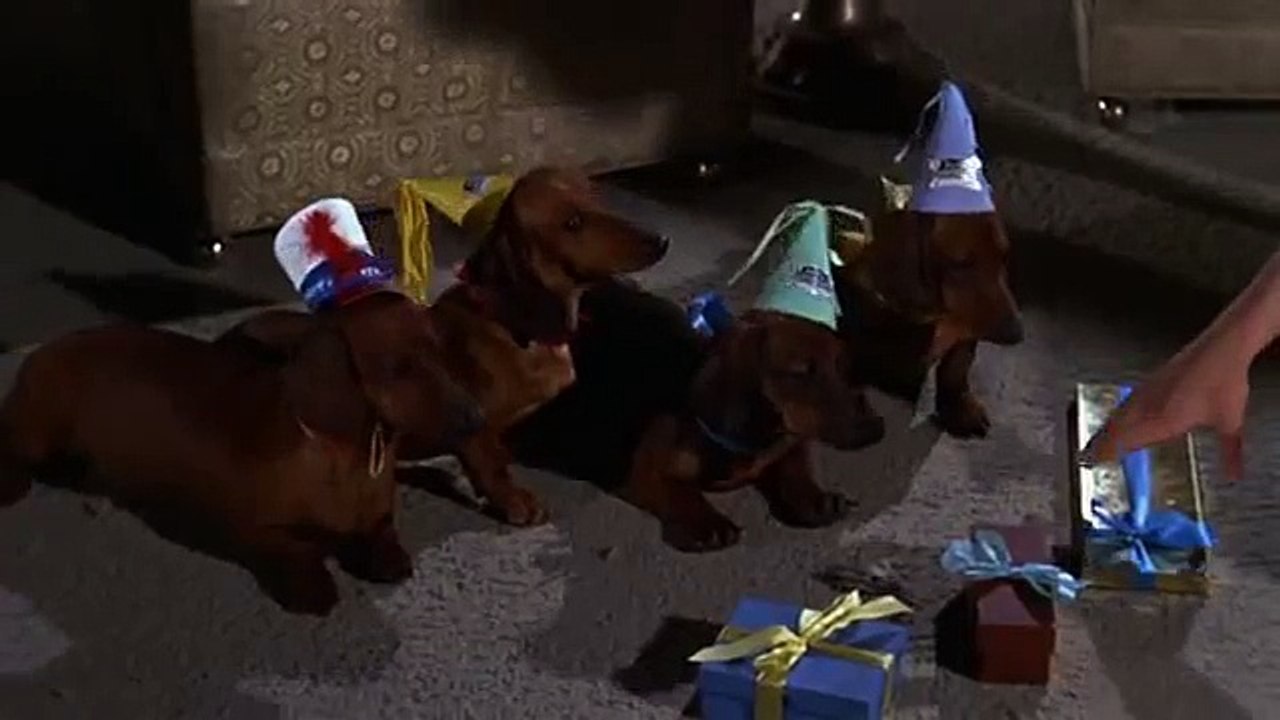 4 Bassotti Per Un Danese Film Completo In Italiano