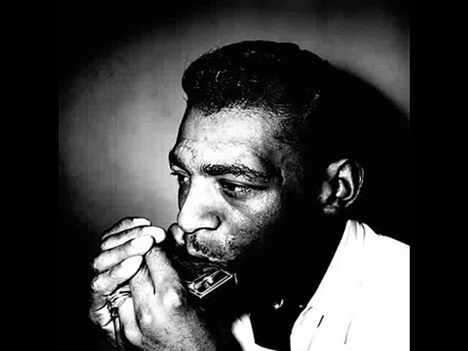 Little Walter - Moonshine Blues