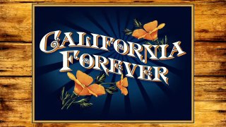 California Forever Trailer