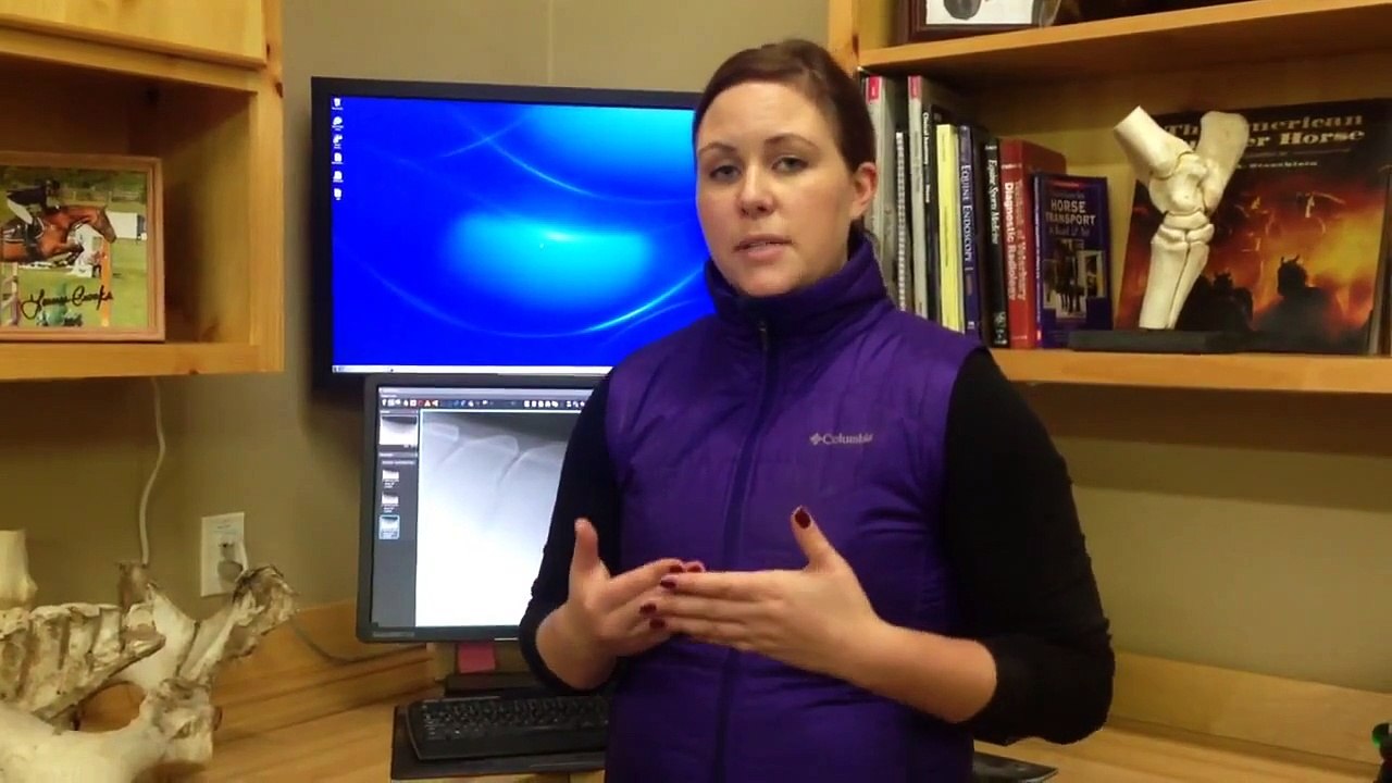 How are Horses with Kissing Spines Treated?