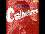 SENHOR DA FLORESTA - AUGUSTO CALHEIROS