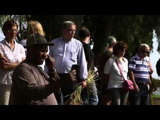 TV3 - Tria33 - Tria33 - capítol 76