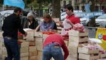 Distribution de fruits et légumes au prix juste à Paris