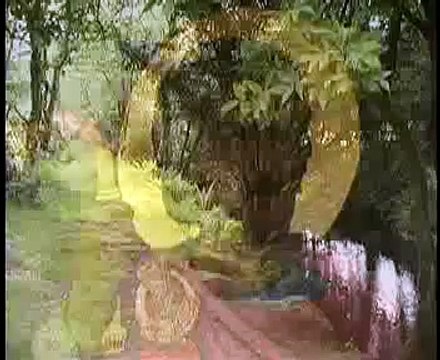 Irish Blessings: St. Patricks Breastplate John Doan Harp Guitar