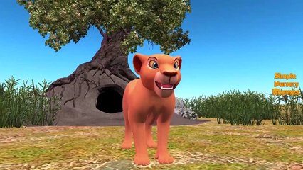 Finger Family Rhymes | Lion King Finger Family  | Animals  Nursery Rhymes Collection