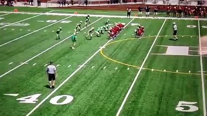 Caleb Downs Football Prodigy