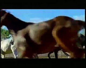 Belle Perez - Sobrevivire