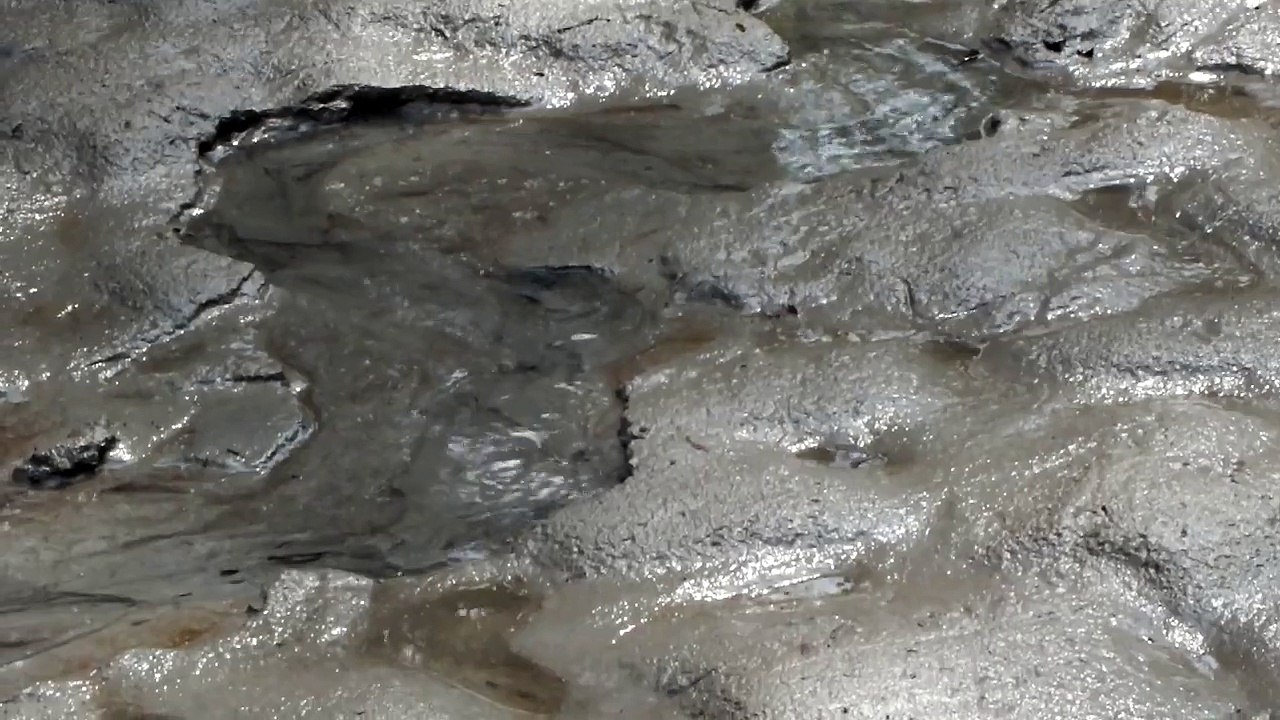 Mini-Inn: Sickerwasser aus dem Sediment DSCF4298