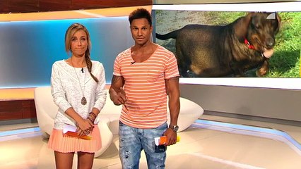 Annemarie Carpendale - taff - 08.09.2015