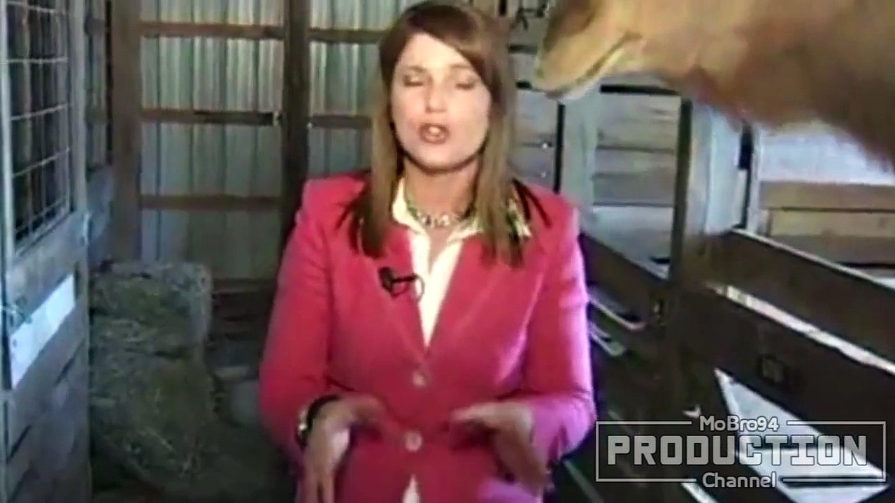 Animals vs. reporters – Funny people & animal compilation