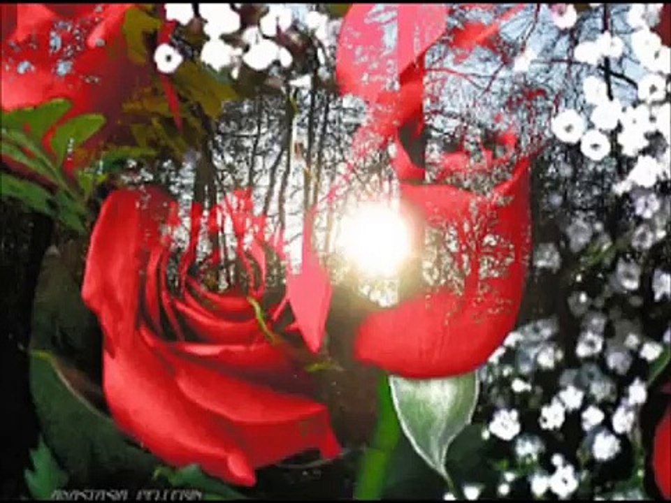 Doctors Without Borders / Médecins Sans Frontières song