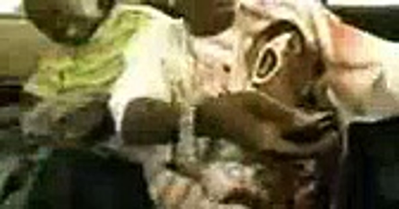 Soulja boy ft i-15 - soulja girl [Full Episode]