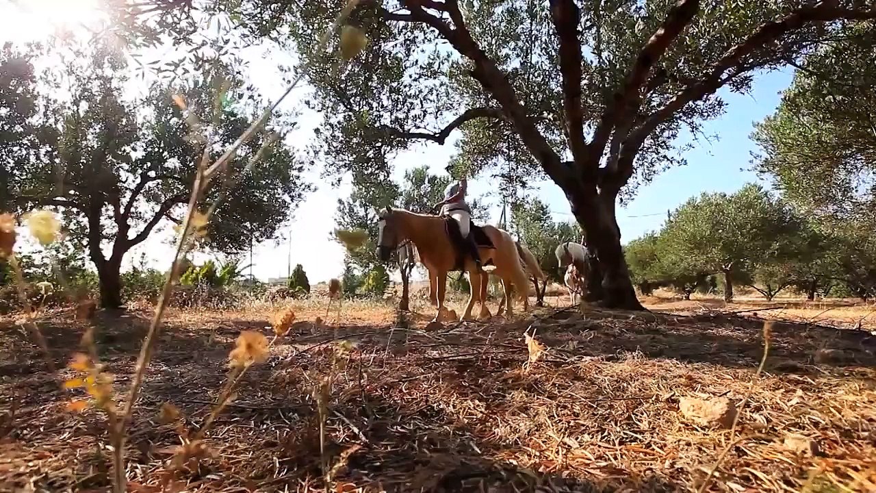 Hersonissos Crete - Land of Beaches and Experiences