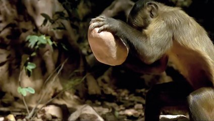 ONE LIFE - IL FILM trailer ufficiale italiano