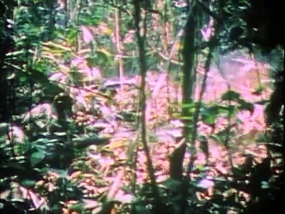 La guerra de Vietnam War I