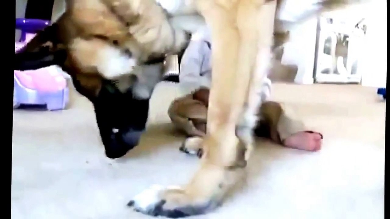 Funny baby