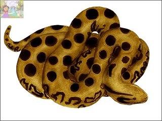 Reptiles  Glenn Doman Cards   English   Vocabulary Flash Card   Teach young children   Rhymes