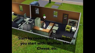 Sims 3 Tutorial: Cooking Guide