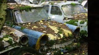 Autos clasicos abandonados