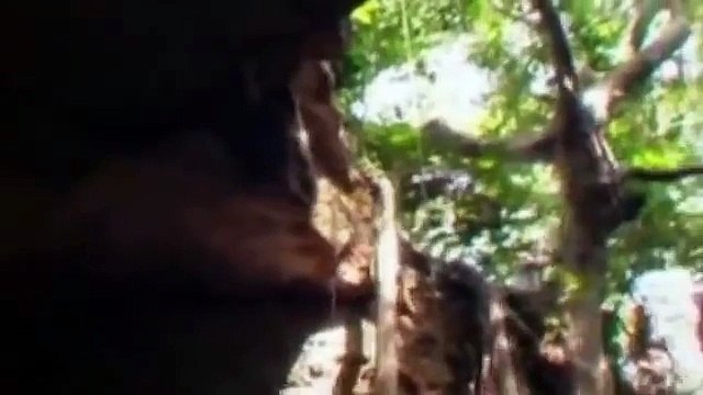 Wildboyz visits Cave of Death in Borneo! (Wildboyz in Indonesia)