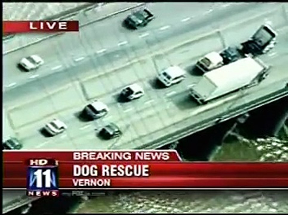 Dog Rescue