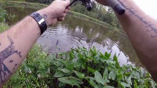 Barr/Church Ponds, a little bass fishing