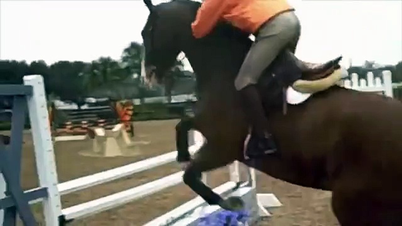 trying horses in florida- watch all of it!