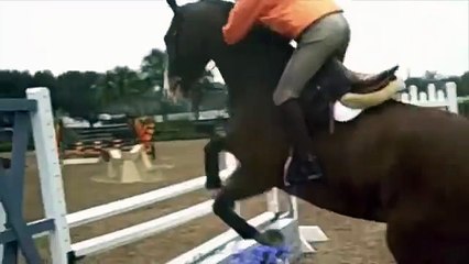 trying horses in florida- watch all of it!