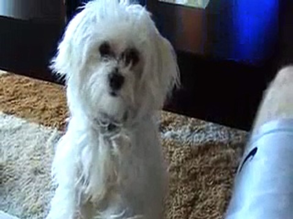 My Little Snoopy :-)