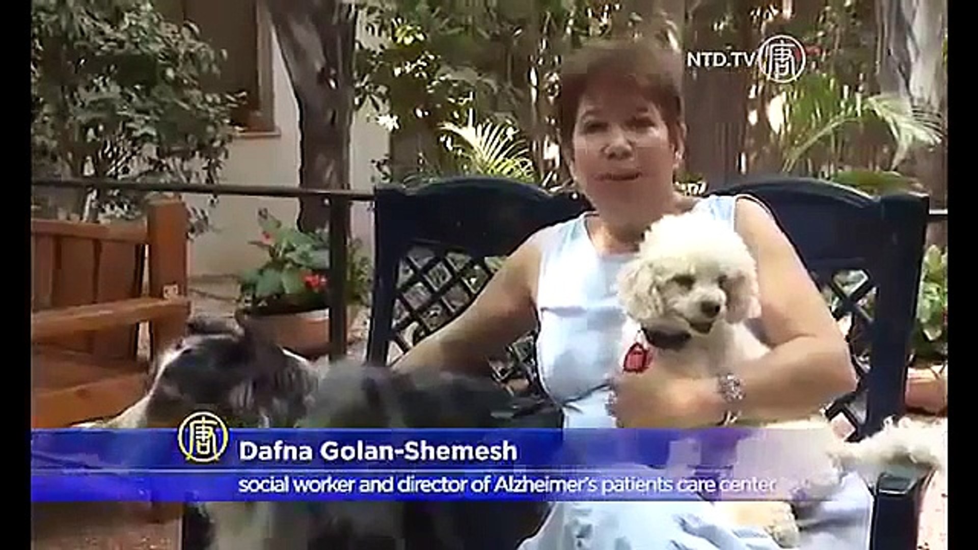 Dogs Act as Caregivers for Alzheimer Sufferers  Best Wild Animal Videos