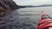 KILLER WHALES  1 OF THE MOST UNREAL ENCOUNTERS ON KAYAK.