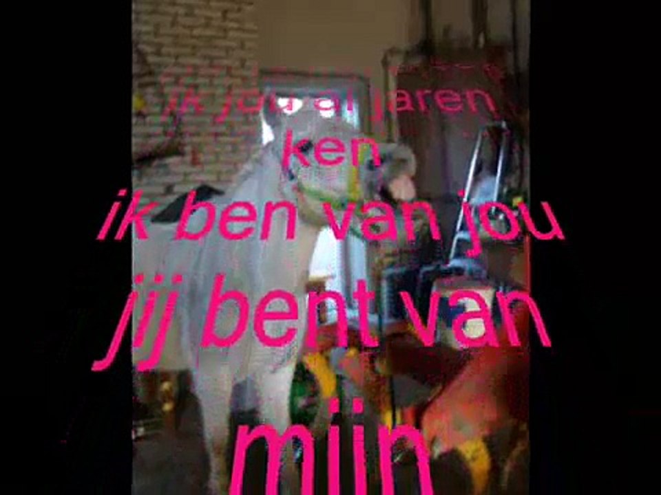 Flytjee je bent me alles