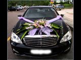 Wedding Cars Ideas | Car Decor Picture Ideas