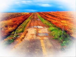 My Way - (Italian Version)  Frank Michael