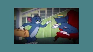 Tom And Jerry Cartoon - Timid Tabby