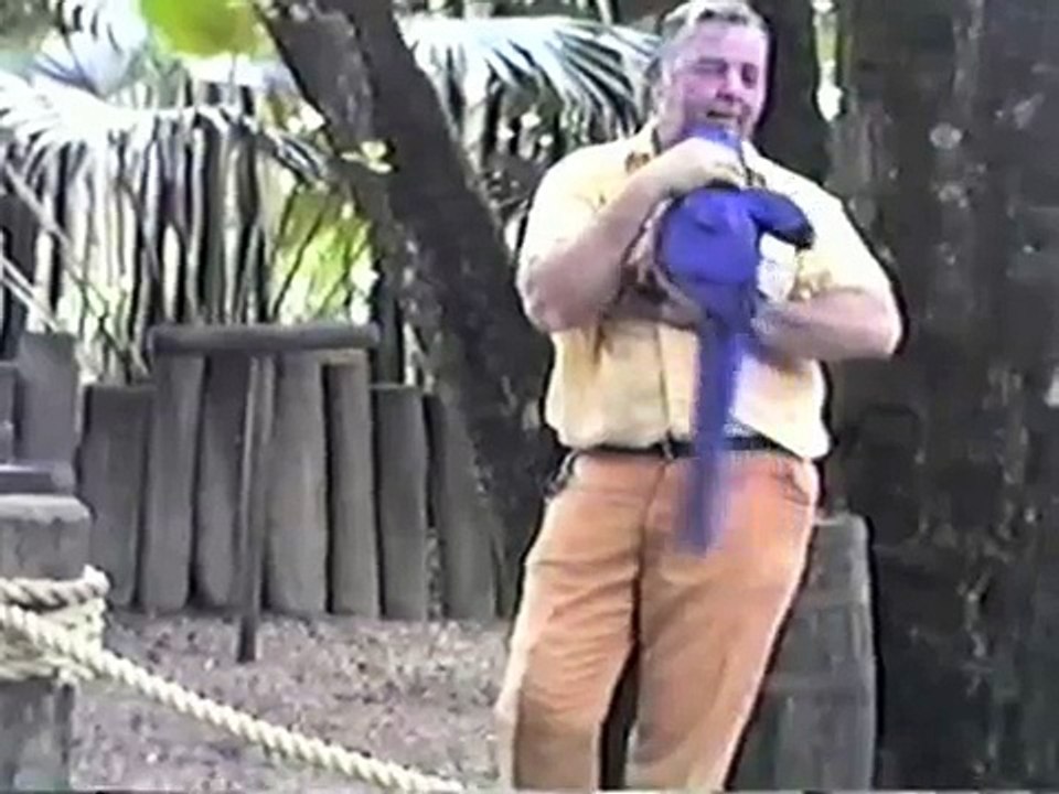 Discovery Island Bird Show Part 1