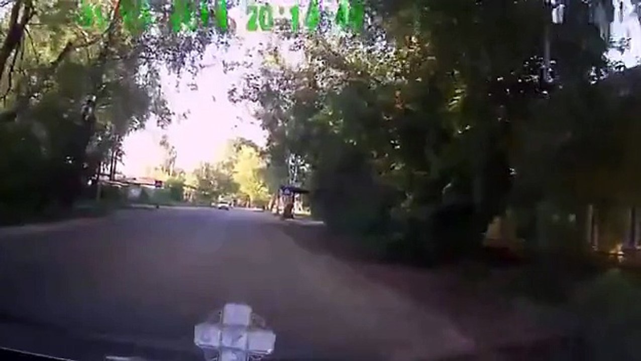 Crashed into a tree!